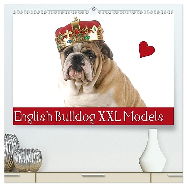 English Bulldog XXL Models (hochwertiger Premium Wandkalender 2024 DIN A2 quer), Kunstdruck in Hochglanz, Elisabeth Stanzer