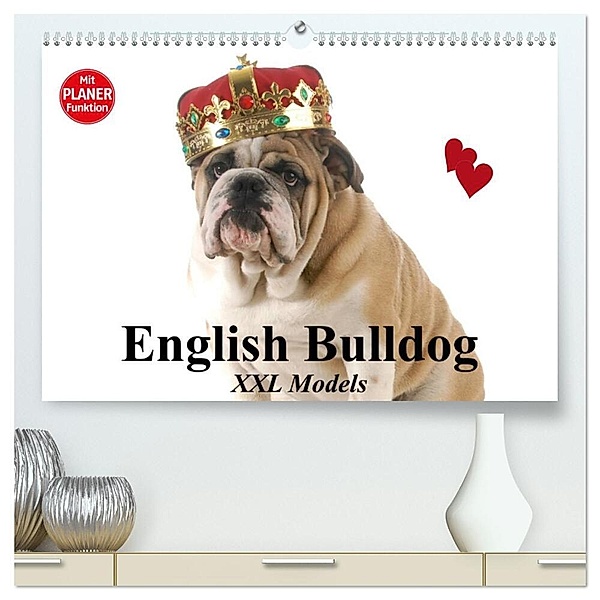 English Bulldog XXL Models (hochwertiger Premium Wandkalender 2024 DIN A2 quer), Kunstdruck in Hochglanz, Elisabeth Stanzer