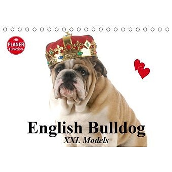 English Bulldog XXL Models (Tischkalender 2020 DIN A5 quer), Elisabeth Stanzer