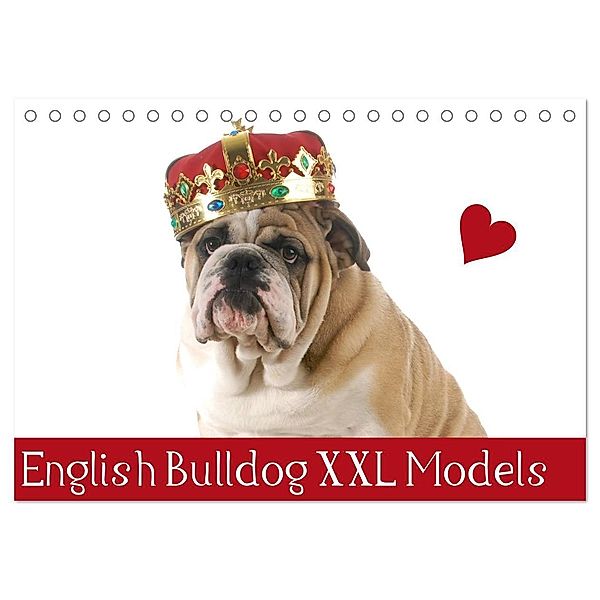 English Bulldog XXL Models (Tischkalender 2024 DIN A5 quer), CALVENDO Monatskalender, Elisabeth Stanzer