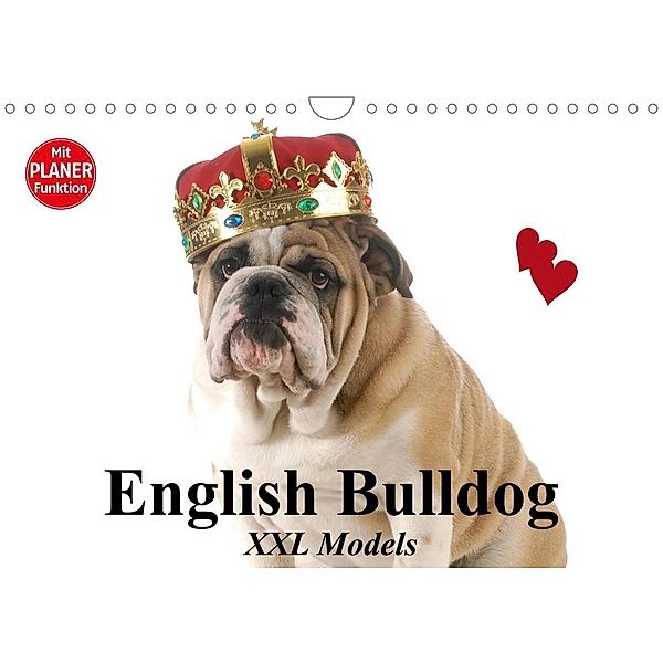 English Bulldog XXL Models (Wandkalender 2023 DIN A4 quer), Elisabeth Stanzer