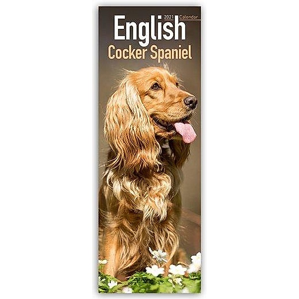 English Cocker Spaniel 2021, Avonside Publishing Ltd