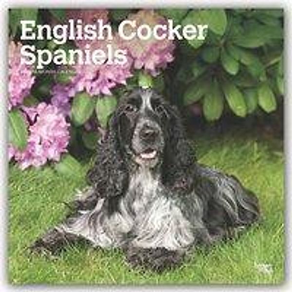 English Cocker Spaniel - Englische Cockerspaniels 2020, BrownTrout Publisher