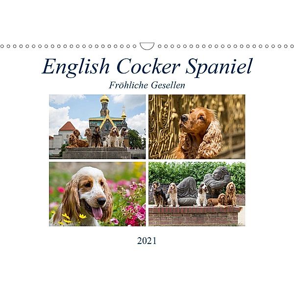 English Cocker Spaniel - Fröhliche Gesellen (Wandkalender 2021 DIN A3 quer), Fotodesign Verena Scholze