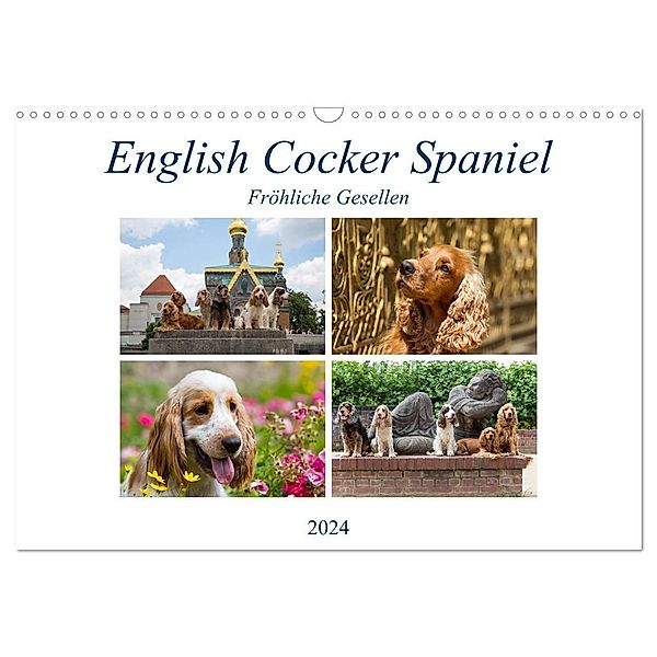 English Cocker Spaniel - Fröhliche Gesellen (Wandkalender 2024 DIN A3 quer), CALVENDO Monatskalender, Fotodesign Verena Scholze