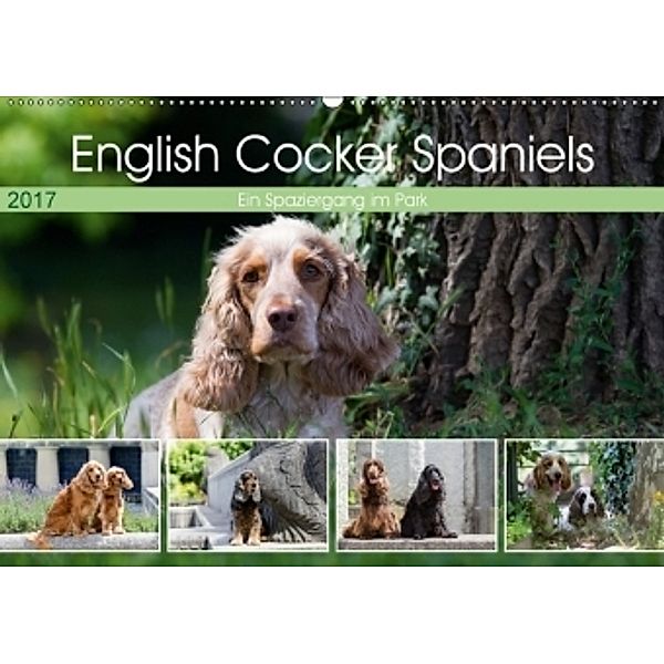 English Cocker Spaniels - Ein Spaziergang im Park (Wandkalender 2017 DIN A2 quer), Verena Scholze