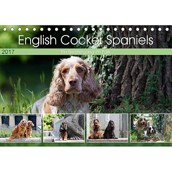 English Cocker Spaniels - Ein Spaziergang im Park (Tischkalender 2017 DIN A5 quer), Verena Scholze