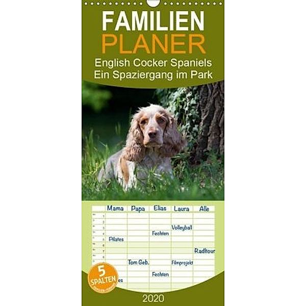 English Cocker Spaniels - Ein Spaziergang im Park - Familienplaner hoch (Wandkalender 2020 , 21 cm x 45 cm, hoch), Verena Scholze
