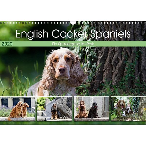 English Cocker Spaniels - Ein Spaziergang im Park (Wandkalender 2020 DIN A3 quer), Verena Scholze