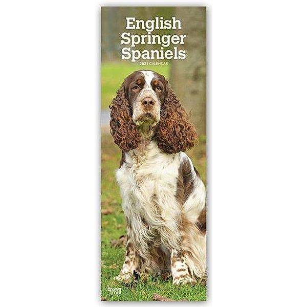 English Springer Spaniels 2021, BrownTrout Publishers