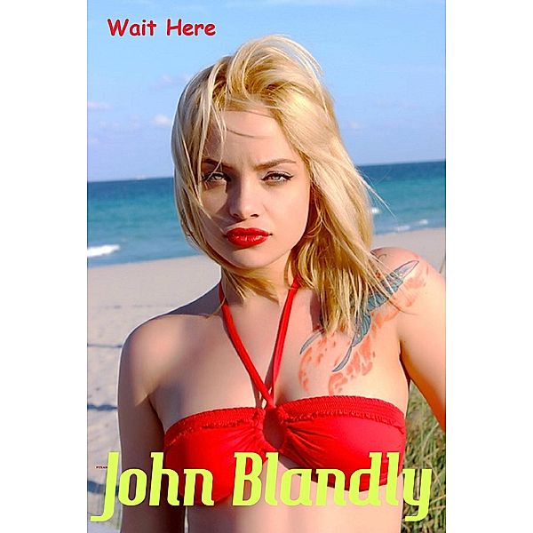 enhanced romantic comedy: Wait Here (enhanced romantic comedy), John Blandly