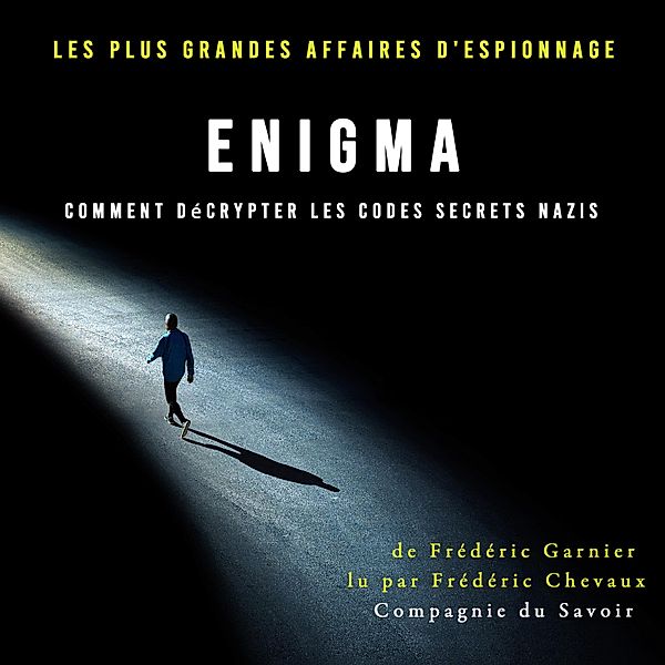 Enigma, comment décrypter les codes secrets nazis, Frédéric Garnier