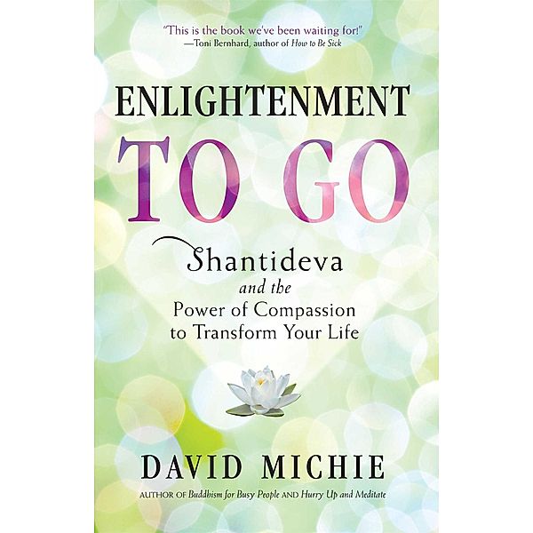 Enlightenment to Go, David Michie