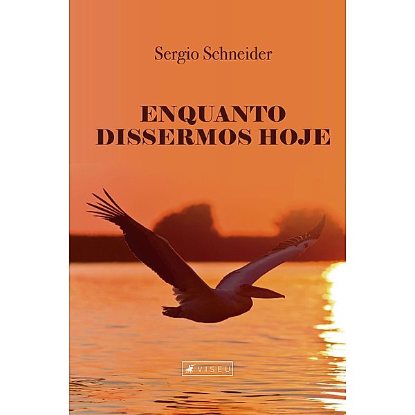 Enquanto dissermos hoje, Sergio Schneider