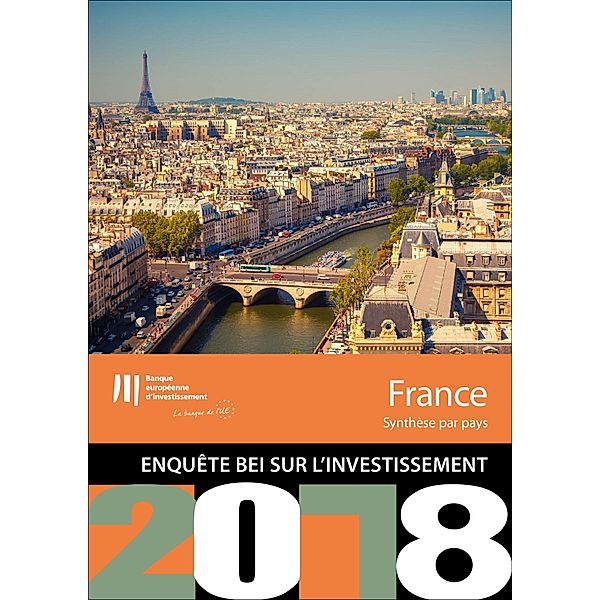 Enquête BEI sur l'investissement en 2018 - France