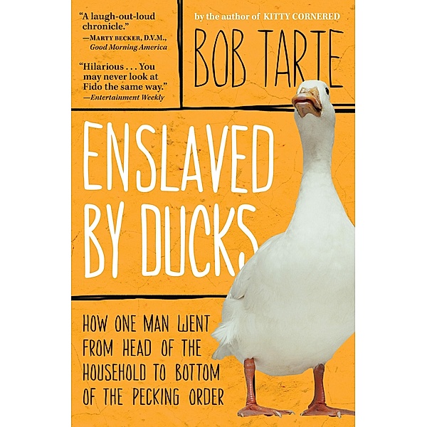 Enslaved by Ducks, Bob Tarte