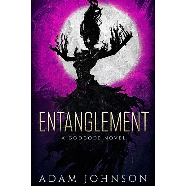 Entanglement (The Godcode, #1) / The Godcode, Adam Johnson