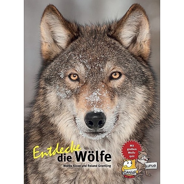 Entdecke die Wölfe Buch von Moritz Klose versandkostenfrei
