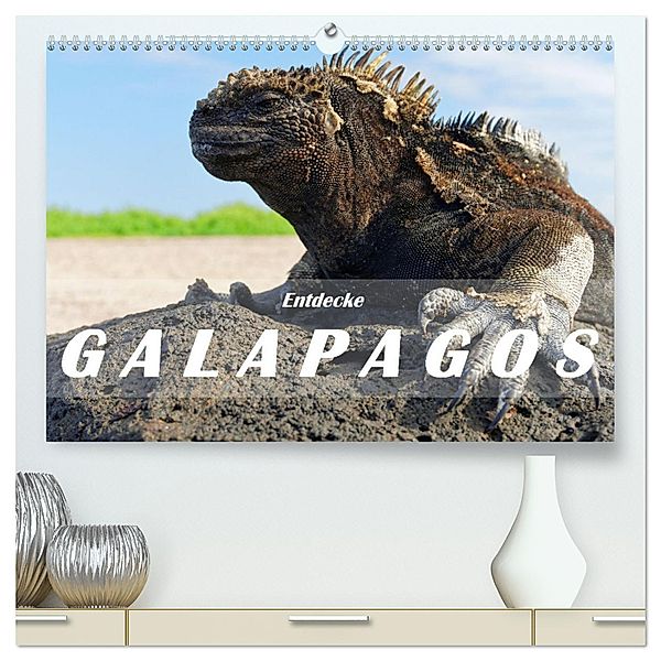 Entdecke Galapagos (hochwertiger Premium Wandkalender 2025 DIN A2 quer), Kunstdruck in Hochglanz, Calvendo, Askson Vargard