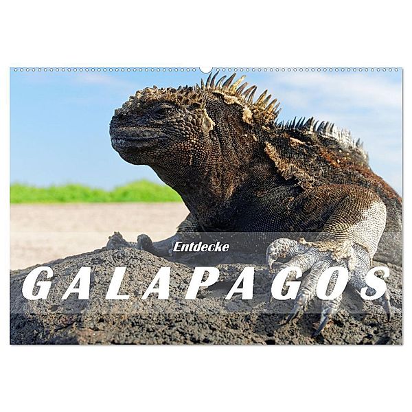 Entdecke Galapagos (Wandkalender 2025 DIN A2 quer), CALVENDO Monatskalender, Calvendo, Askson Vargard