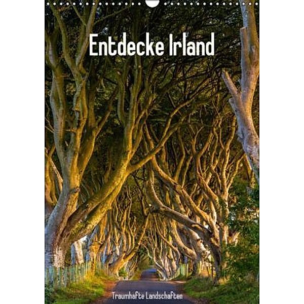 Entdecke Irland (Wandkalender 2015 DIN A3 hoch), Christian Ringer