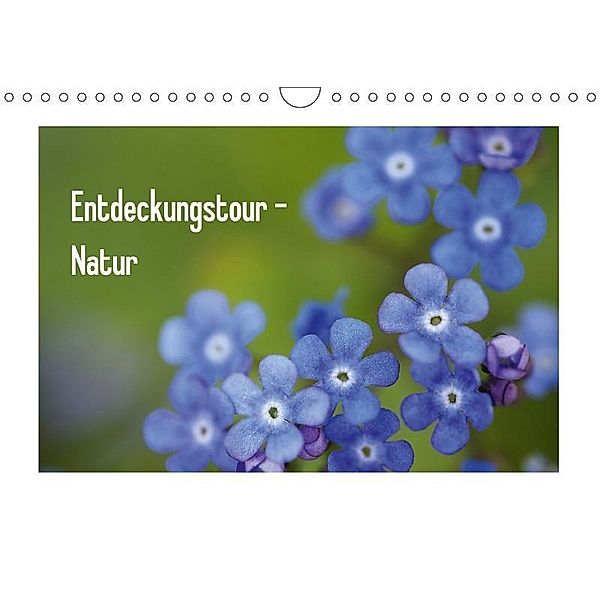 Entdeckungstour - Natur (Wandkalender 2017 DIN A4 quer), Kristin Möller