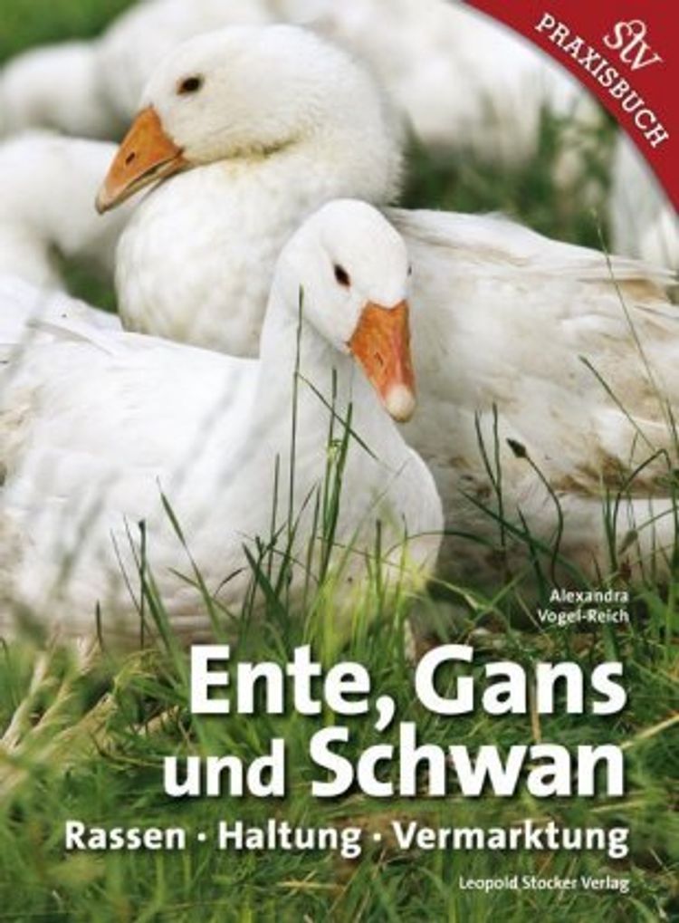 Ente Gans Und Schwan Buch Versandkostenfrei Bei Weltbild De Bestellen