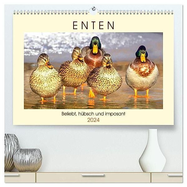 Enten. Beliebt, hübsch und imposant (hochwertiger Premium Wandkalender 2024 DIN A2 quer), Kunstdruck in Hochglanz, Rose Hurley