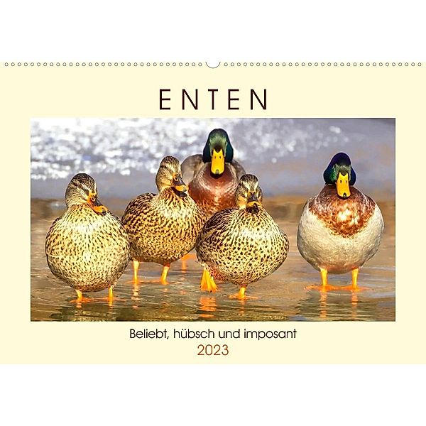 Enten. Beliebt, hübsch und imposant (Wandkalender 2023 DIN A2 quer), Rose Hurley