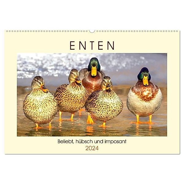 Enten. Beliebt, hübsch und imposant (Wandkalender 2024 DIN A2 quer), CALVENDO Monatskalender, Rose Hurley