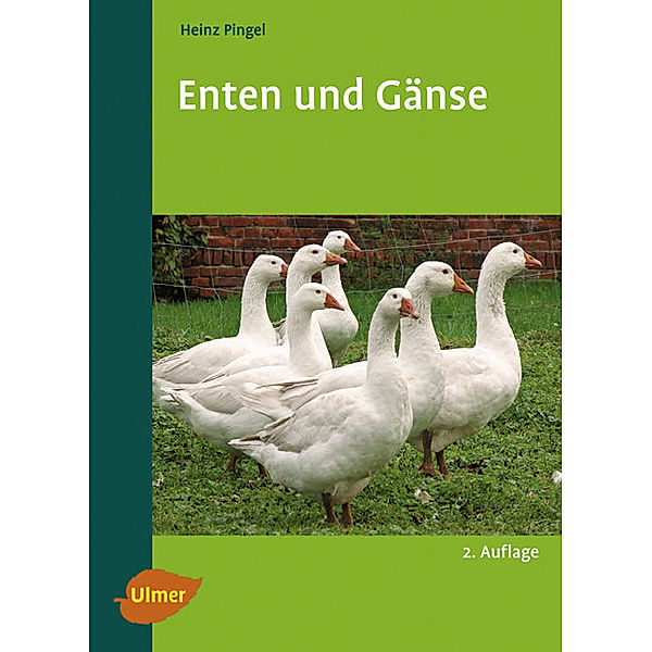 Enten und Gänse, Heinz Pingel