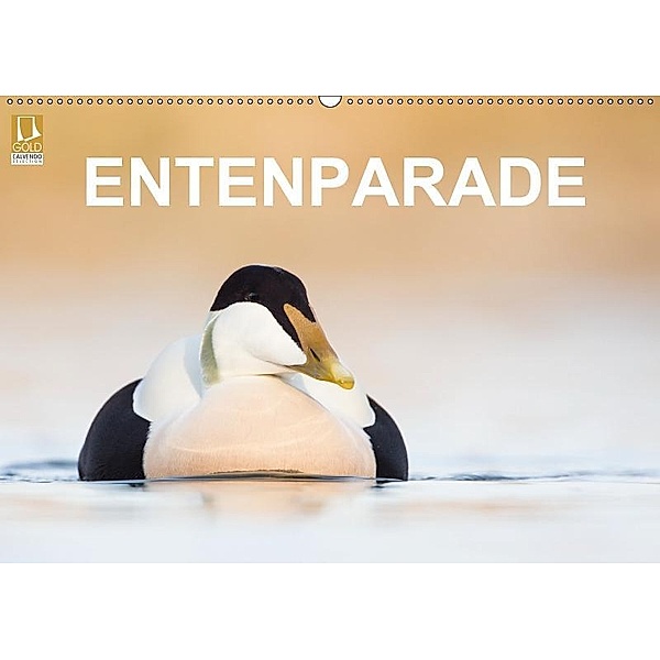 Entenparade (Wandkalender 2019 DIN A2 quer), BIA - birdimagency
