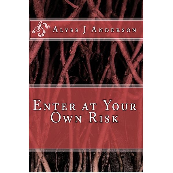 Enter At Your Own Risk, Alyss J. Anderson