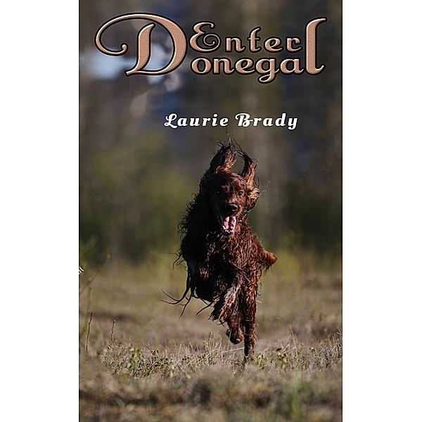 Enter Donegal / Austin Macauley Publishers Ltd, Laurie Brady