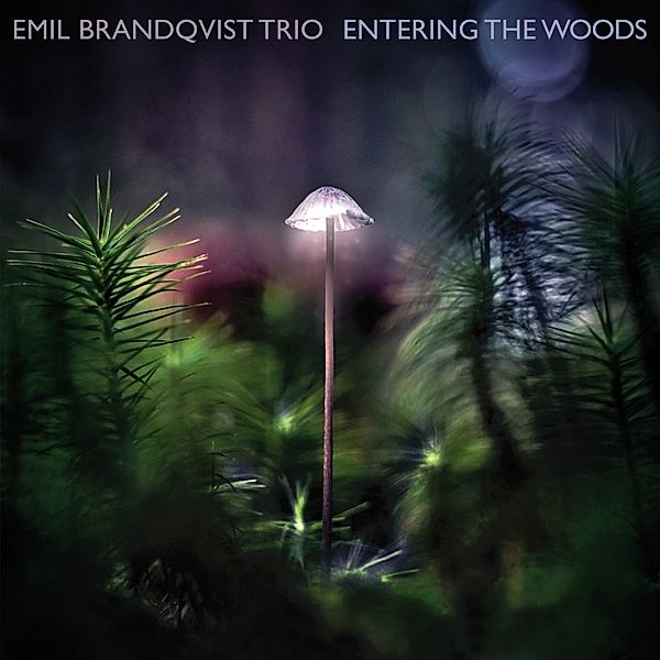 Entering The Woods (Digipak), Emil Brandqvist Trio