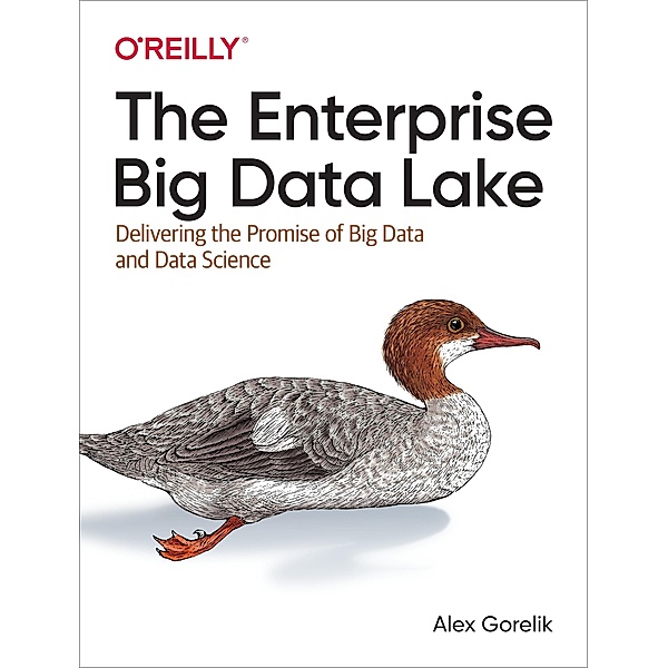 Enterprise Big Data Lake, Alex Gorelik