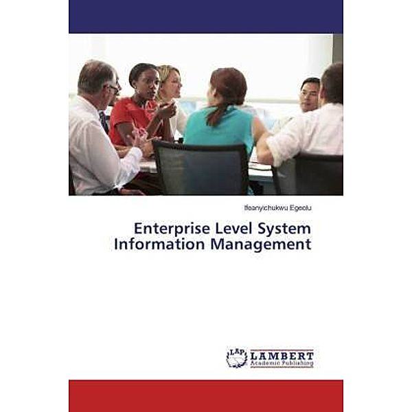Enterprise Level System Information Management, Ifeanyichukwu Egeolu