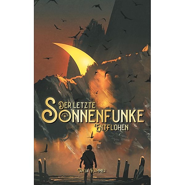 Entflohen / Der letzte Sonnenfunke Bd.2, Tanja Hammer