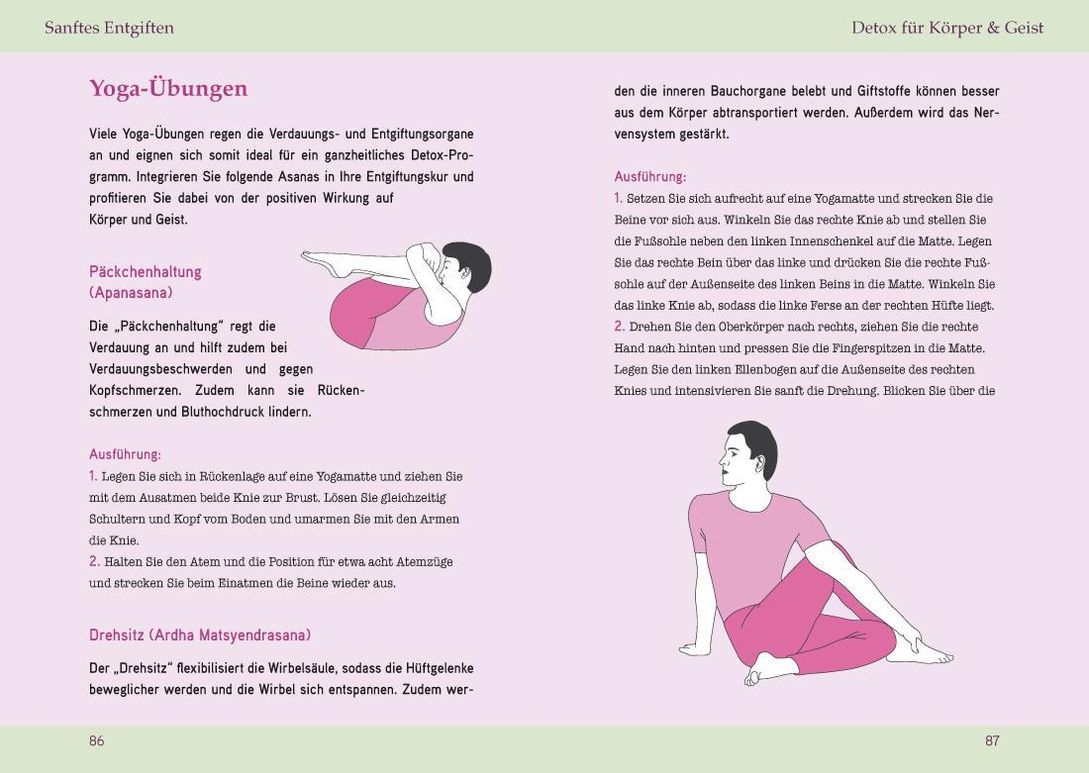Entgiftung - Darm & Leber natürlich stärken Buch jetzt online bei  Weltbild.ch bestellen
