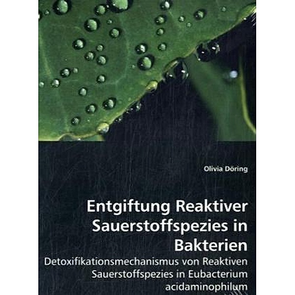 Entgiftung Reaktiver Sauerstoffspezies in Bakterien, Olivia Döring