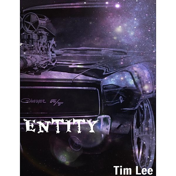 Entity, Tim Lee