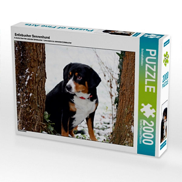 Entlebucher Sennenhund (Puzzle), SchnelleWelten