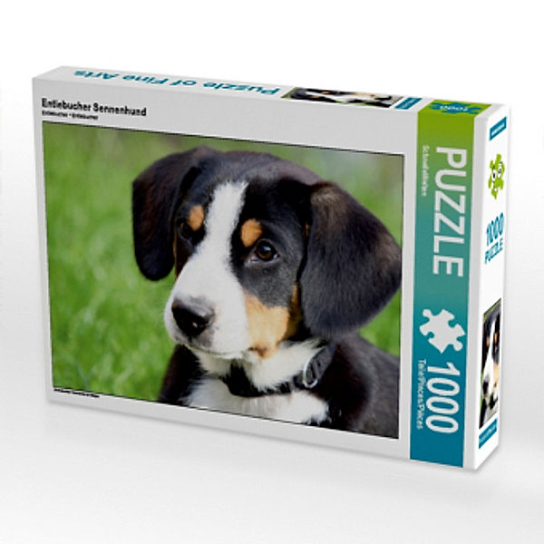 Entlebucher Sennenhund (Puzzle), SchnelleWelten