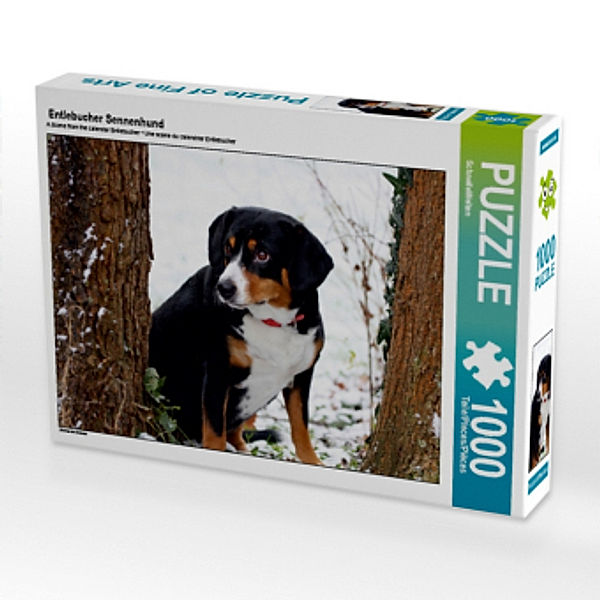 Entlebucher Sennenhund (Puzzle), SchnelleWelten