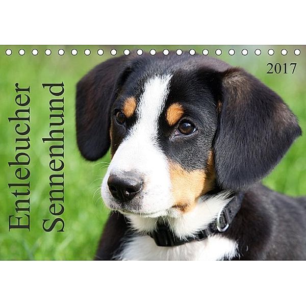 Entlebucher Sennenhund (Tischkalender 2017 DIN A5 quer), k.A. SchnelleWelten
