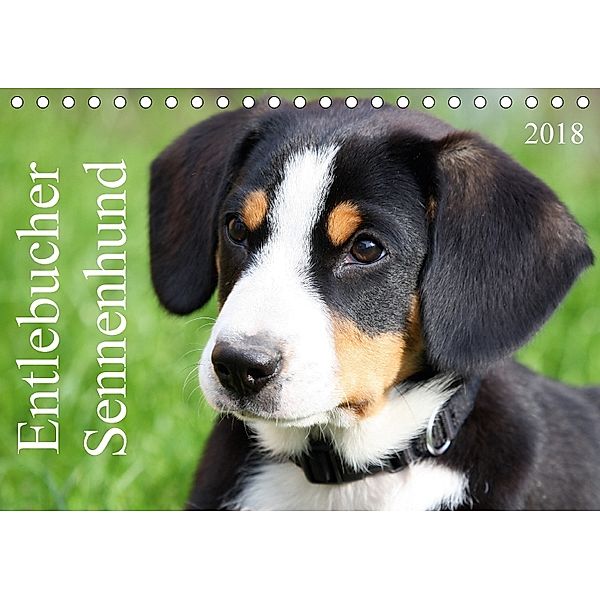 Entlebucher Sennenhund (Tischkalender 2018 DIN A5 quer) Dieser erfolgreiche Kalender wurde dieses Jahr mit gleichen Bild, SchnelleWelten