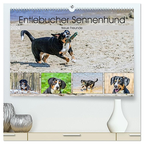 Entlebucher Sennenhund - treue Freunde (hochwertiger Premium Wandkalender 2024 DIN A2 quer), Kunstdruck in Hochglanz, Schnellewelten