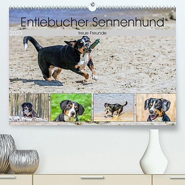 Entlebucher Sennenhund - treue Freunde (Premium, hochwertiger DIN A2 Wandkalender 2023, Kunstdruck in Hochglanz), Schnellewelten