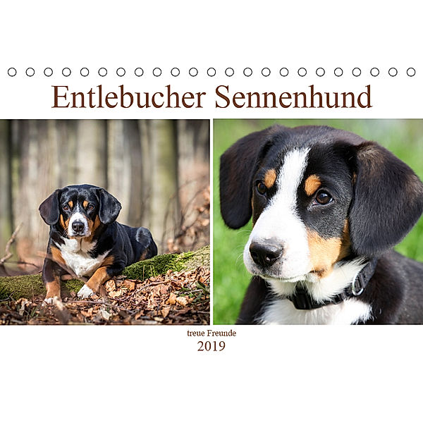 Entlebucher Sennenhund - treue Freunde (Tischkalender 2019 DIN A5 quer), SchnelleWelten