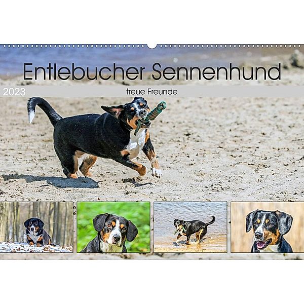 Entlebucher Sennenhund - treue Freunde (Wandkalender 2023 DIN A2 quer), Schnellewelten